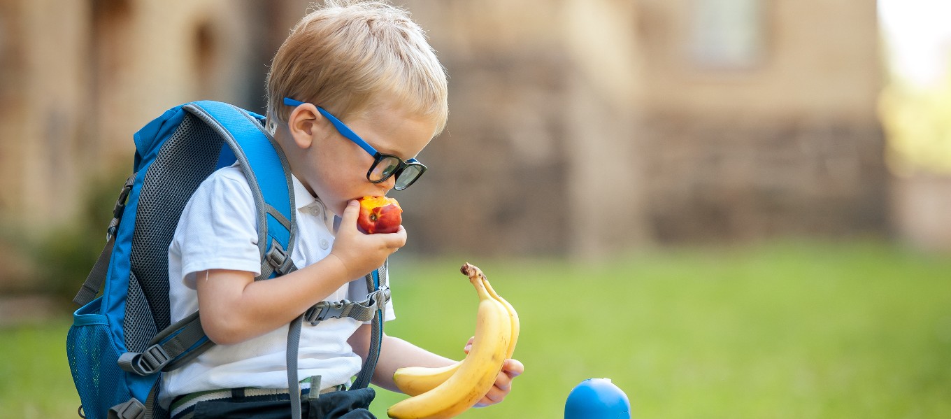 Nationale fruitdag